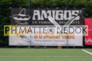 26.04.12 premiazioni+extra 036